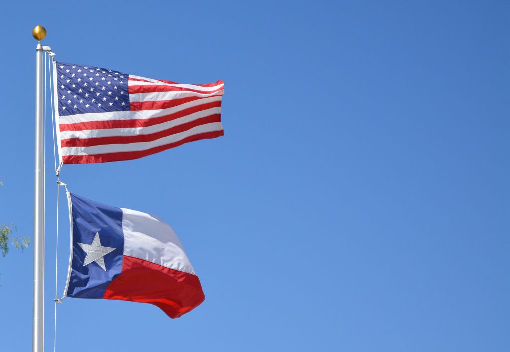 Texas State Flag